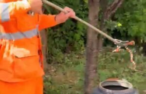 Sete Lagoas; Criança encontra cobra coral durante brincadeira e mobiliza bombeiros