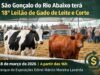 São Gonçalo do Rio Abaixo terá 18º Leilão de Gado de Leite e Corte no Parque de Exposições
