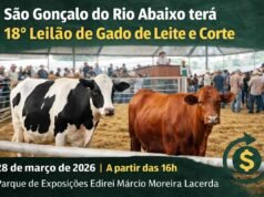 São Gonçalo do Rio Abaixo terá 18º Leilão de Gado de Leite e Corte no Parque de Exposições