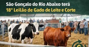 São Gonçalo do Rio Abaixo terá 18º Leilão de Gado de Leite e Corte no Parque de Exposições
