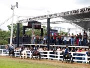 Concurso de marcha reúne 345 animais na 38ª Cavalgada de São Gonçalo do Rio Abaixo