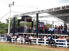Concurso de marcha reúne 345 animais na 38ª Cavalgada de São Gonçalo do Rio Abaixo