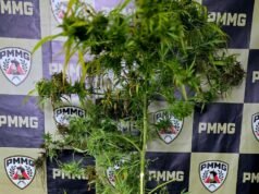 Polícia Militar prende homem por tráfico de drogas em João Monlevade