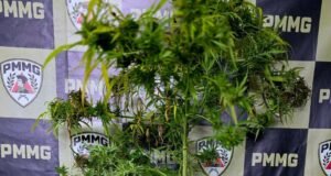 Polícia Militar prende homem por tráfico de drogas em João Monlevade