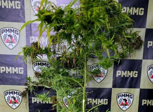 6bfb3aa8-ea30-43af-953e-08db67b0176f