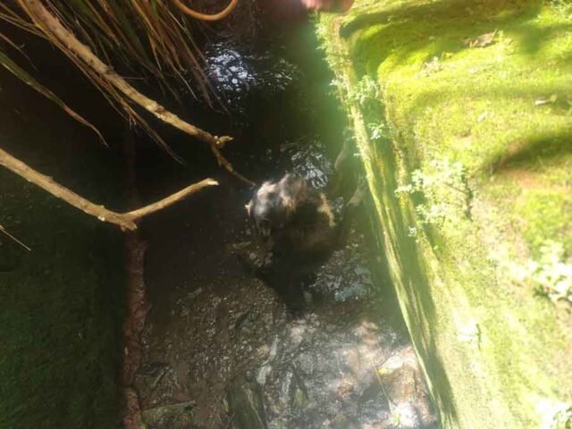 a47d43fd-dd2b-4ce4-9797-6b34b4cabfb7