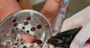 Atenção pais! Criança de 2 anos fica com dedo preso em ralo e é socorrida pelos bombeiros