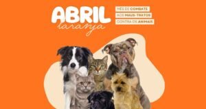 Abril Laranja reforça combate aos maus-tratos animais em Itabira