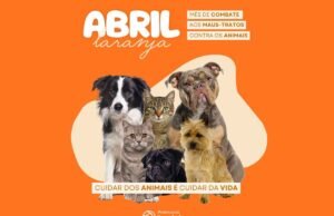 Abril Laranja reforça combate aos maus-tratos animais em Itabira