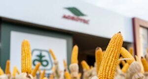 Agrotec, do Grupo Agrihold, destaca inovação e sustentabilidade em feira do agro no Paraguai