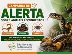 São Gonçalo do Rio Abaixo lança Campanha de Alerta sobre Animais Peçonhentos e orienta população