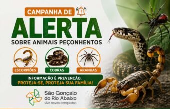 São Gonçalo do Rio Abaixo lança Campanha de Alerta sobre Animais Peçonhentos e orienta população