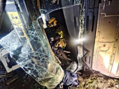 Carreta com bovinos tomba na BR-381 e deixa dois feridos e animais mortos em João Monlevade