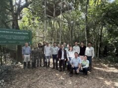 Após 50 anos, jacutinga volta a ser registrada no Parque Estadual do Rio Doce