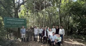 Após 50 anos, jacutinga volta a ser registrada no Parque Estadual do Rio Doce