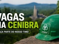 Cenibra abre vagas para trabalho no cultivo de eucalipto em três cidades de MG neste sábado