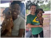 Itabira ultrapassa 5 mil castrações gratuitas de cães e gatos em 5 anos