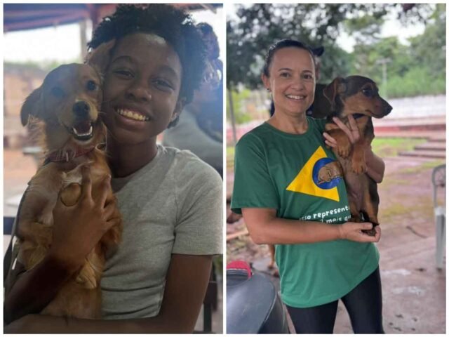 mutirao-castracao-valerio-itabira