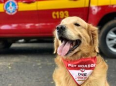 Adeus a Thor: cão de resgate que emocionou gerações morre em MG