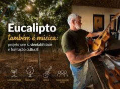 Eucalipto vira música em projeto sustentável apoiado pela CENIBRA