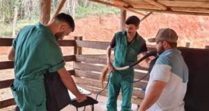 IFMG e Unidade Tecnológica Ceipart fortalecem cadeia produtiva do queijo em São Gonçalo do Rio Abaixo
