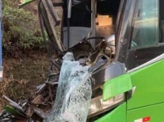 Ônibus da Pássaro Verde colide com carreta na BR-356 e deixa feridos