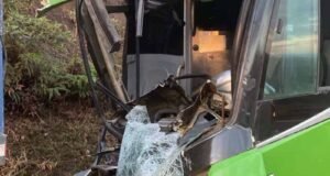 Ônibus da Pássaro Verde colide com carreta na BR-356 e deixa feridos
