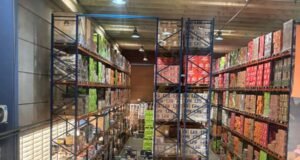 Anvisa apreende mais de 120 mil caixas de cigarros de palha irregulares durante fiscalização