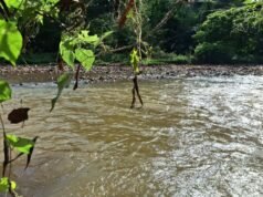 Corpo de Bombeiros realiza buscas por desaparecido no Rio Piracicaba, em João Monlevade