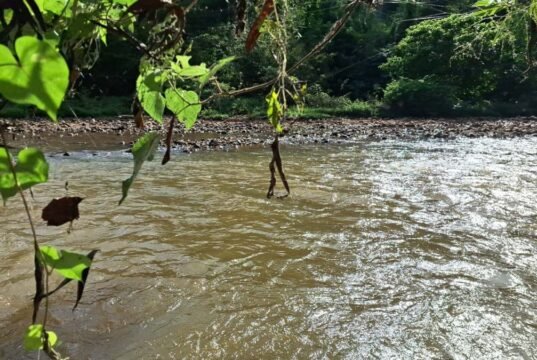 Corpo de Bombeiros realiza buscas por desaparecido no Rio Piracicaba, em João Monlevade