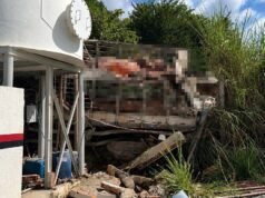 Caminhão com carga viva capota, atinge residência e deixa grávida morta em MG