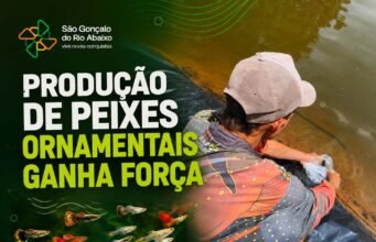 Produção de peixes ornamentais fortalece agronegócio em São Gonçalo do Rio Abaixo