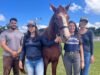 Equoterapia de São Gonçalo do Rio Abaixo recebe mais um animal