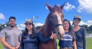 Equoterapia de São Gonçalo do Rio Abaixo recebe mais um animal